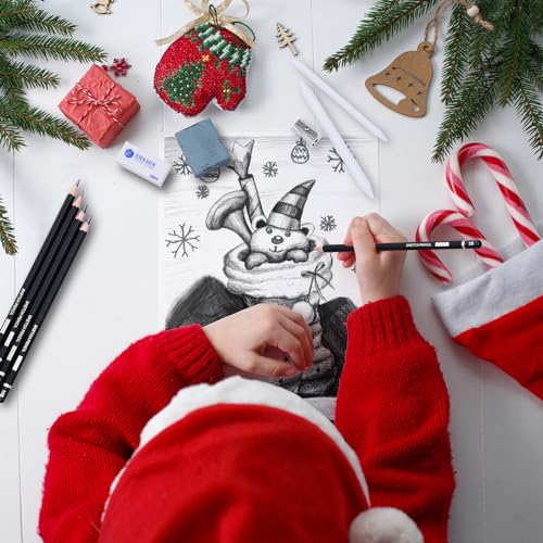 Drawing Sketching Pencil Set (22 Count)