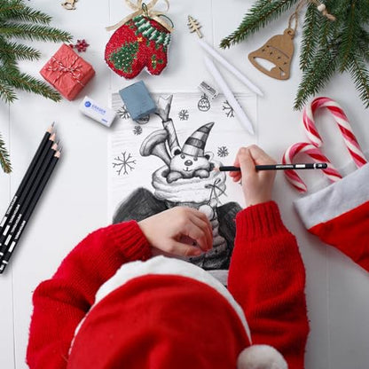 Drawing Sketching Pencil Set (22 Count)
