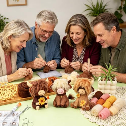 Needle Felting Kit