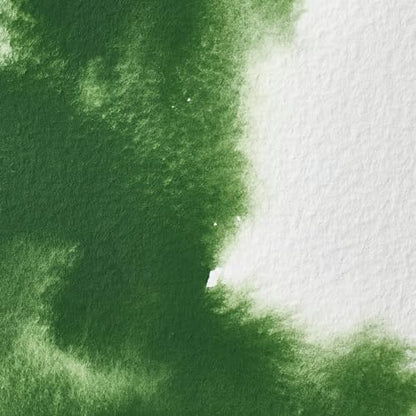 Professional Watercolor