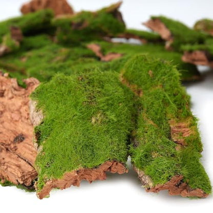 Assorted Artificial Moss Bark