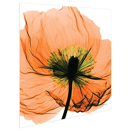 Frameless Free Floating Tempered Glass Panel Graphic Wall Art Ready to Hang