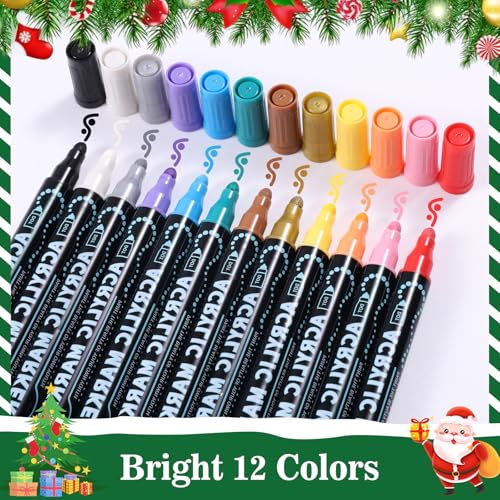 12 Colors Dot & Fine Dual Tip Acrylic Paint Markers Pens (12 Count)