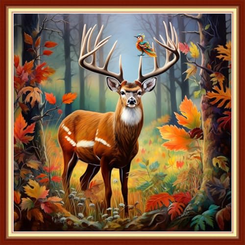 Cross Stitch Kits Stamped Full Range of Embroidery Kits