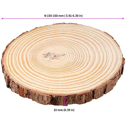10 PCS 5.9 6.3 Inches Natural Unfinished Wood Slices (10 Count)