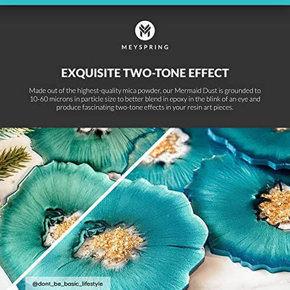 Mermaid Dust Epoxy Resin Color Pigment