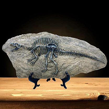 Resin Spinosaurus Dinosaur Fossil Statue Model Simulated Skeleton Home Office Display Decorative Craft Box Decoration