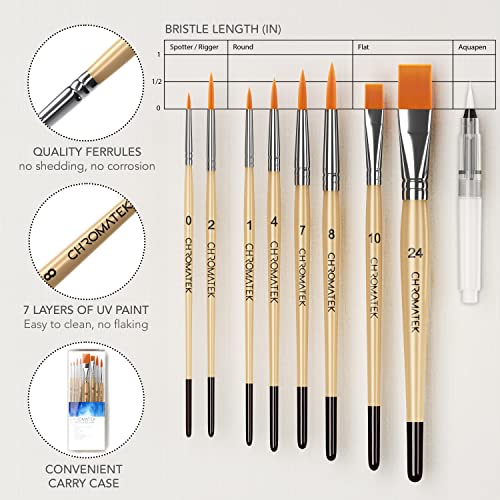 Watercolor Paint Set