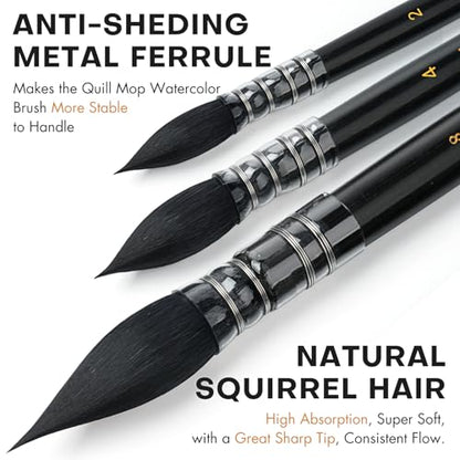 3PCS Squirrel Hair Watercolor Brushes (3 Count)