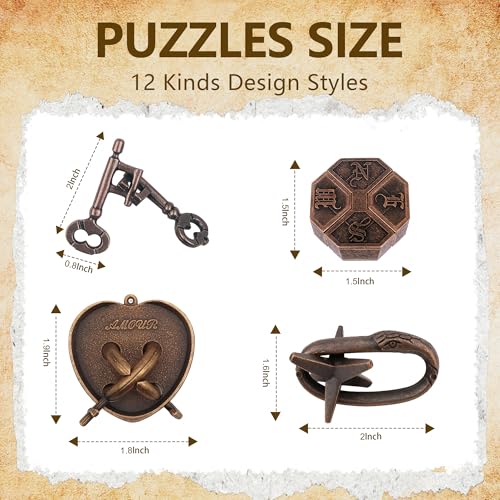 12Pcs Brain Teaser Puzzles for Adults and Teens (12 Count)