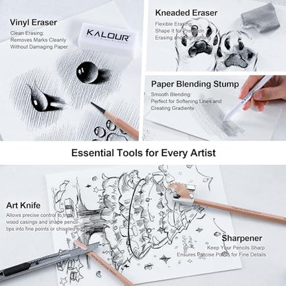 28 Pro Sketching Drawing Pencils Set (28 Count)