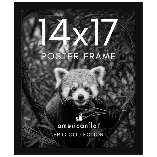14x17 Picture Frame