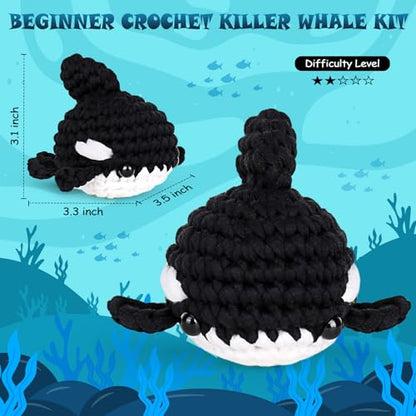 Crochet Kit for Beginners