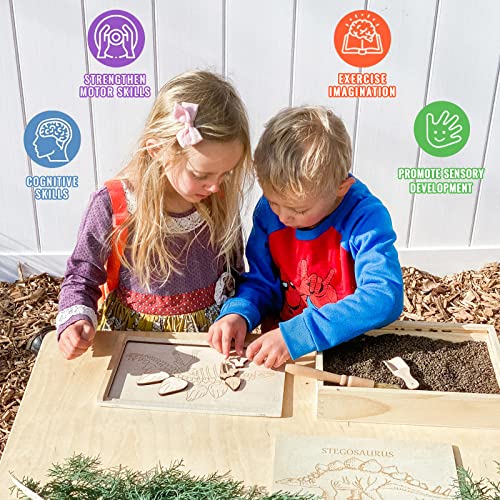 Dinosaur Excavation Archaeology Dig Kit for Kids