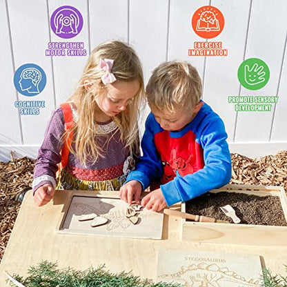 Dinosaur Excavation Archaeology Dig Kit for Kids