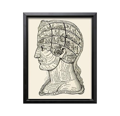 A Symbolic Head Phrenology Print 1899