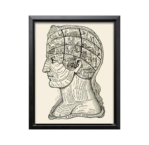 A Symbolic Head Phrenology Print 1899