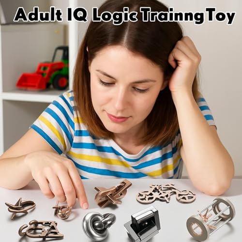 9 Pcs Metal Brain Teasers 3D Steel Puzzle Set (9 Count)