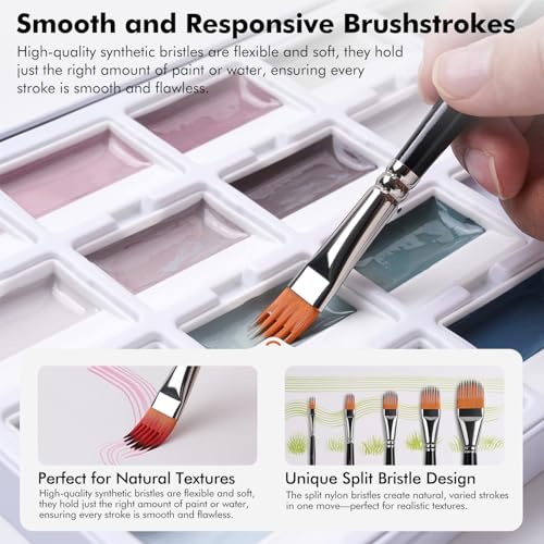 5 PC Grainer Brush Set for Wood Grain