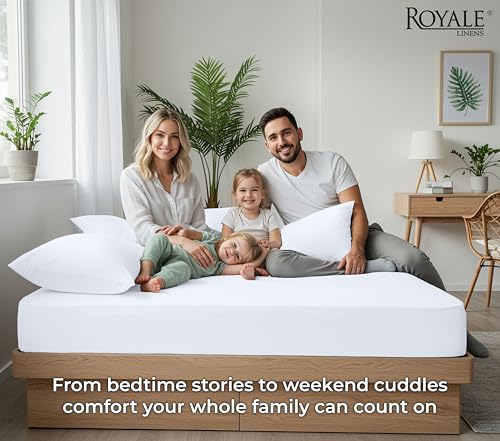 100% Organic Cotton 2 Pack Fitted Sheet (2 Count)