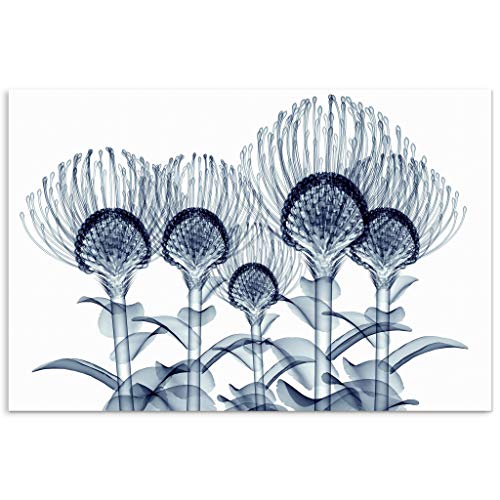 Frameless Free Floating Tempered Glass Panel Graphic Wall Art Ready to Hang