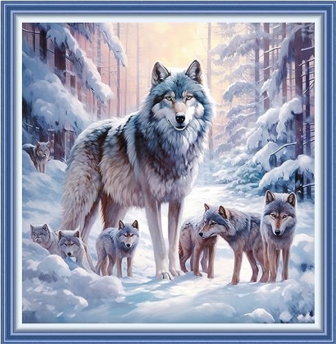 Beginners Cross Stitch Kits Stamped Full Range of Embroidery Kits for Adults DIY Cross Stitches kit Embroidery Patterns for Needlepoint kit