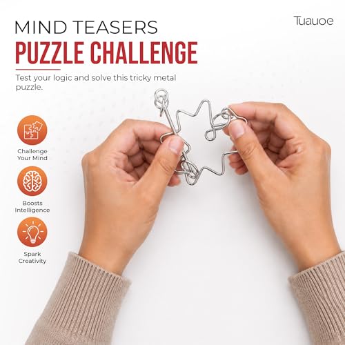 Metal Puzzles Brain Teaser (24 Count)