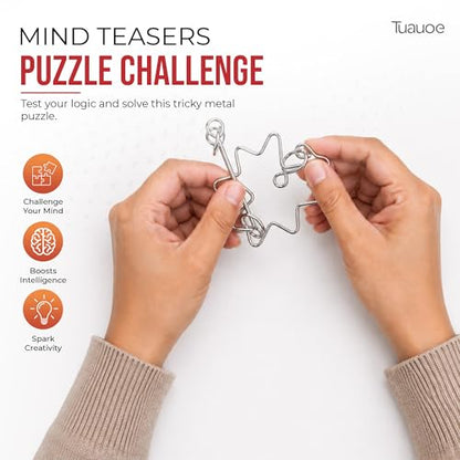 Metal Puzzles Brain Teaser (24 Count)