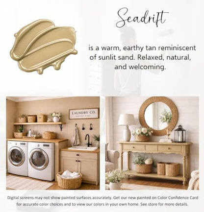 ALL-IN-ONE Paint by Heirloom Traditions, Seadrift, 8oz Sample (8 Fl Oz)