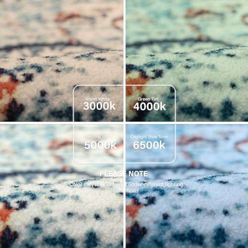 Reine Bohemian Floral Medallion Runner Rug