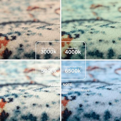 Reine Bohemian Floral Medallion Area Rug