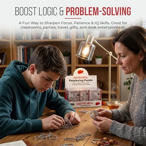 Metal Puzzles Brain Teaser (24 Count)