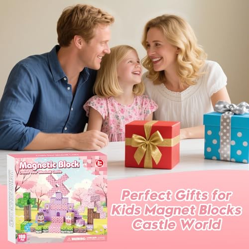 100PCS Magnetic Building Block (100 Count)