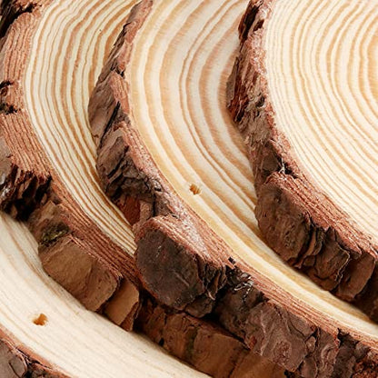 12 PCS 5.5 5.9 Inches Natural Wood Slices with Holes (12 Count)