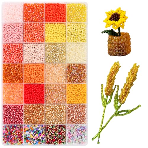 11200pcs Glass Seed Beads for DIY Crafting Bracelet Necklace Embroidery Jewelry Making Supplies (11200 Count)