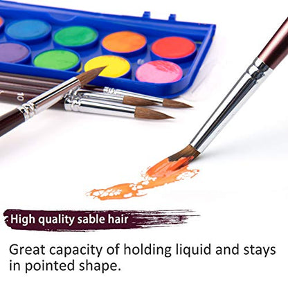 Sable Watercolor Brushes