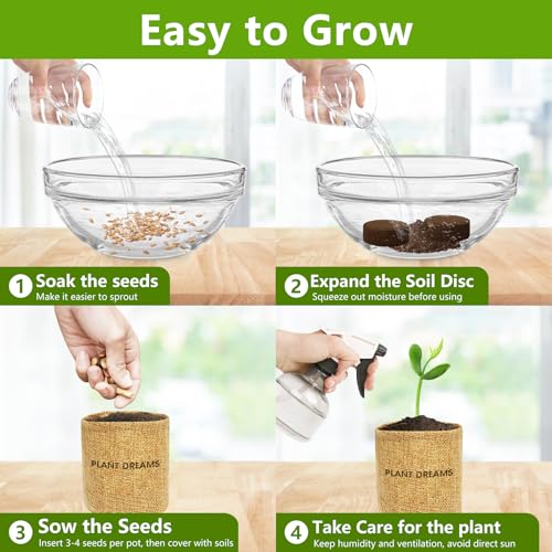 Bonsai Tree Kit