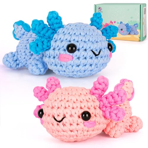 Crochet Kit for Beginners (2 Count)