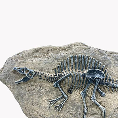Resin Spinosaurus Dinosaur Fossil Statue Model Simulated Skeleton Home Office Display Decorative Craft Box Decoration
