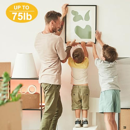Picture Hangers (330 Count)