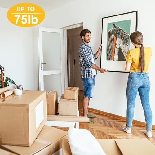 Picture Hangers (330 Count)