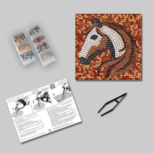Adult Mosaic Art Kit (10.7639 Sq Ft)