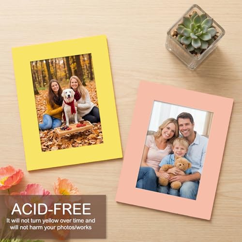 15 Pack Picture Mats 8.5 x 11 for 6 x 8 Photos