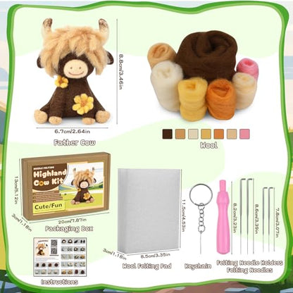 Needle Felting Kit Beginners Wool Felting Supplies Kits