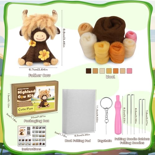Needle Felting Kit Beginners Wool Felting Supplies Kits