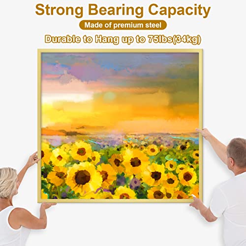 372 PCS Picture Hanging Kit (372 Count)