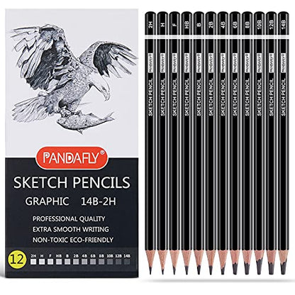 Drawing Sketching Pencil Set (12 Count)