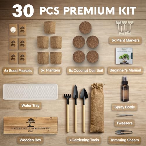 Bonsai Tree Kit Deluxe