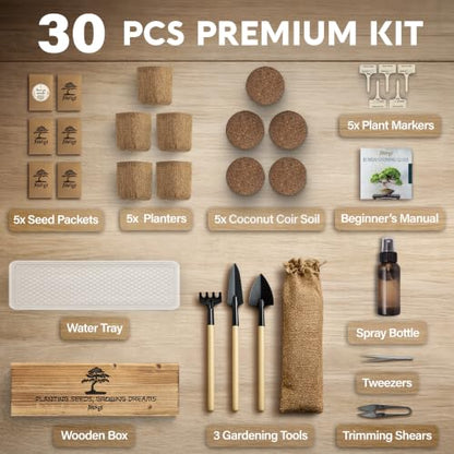 Bonsai Tree Kit Deluxe