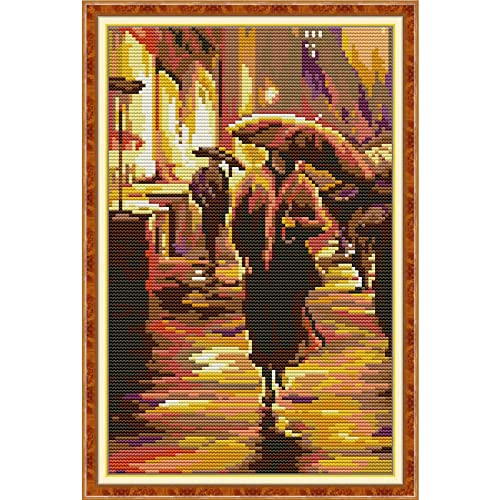 Stamped Cross Stitch Kits Beginners Full Range of Crossstitching Preprinted Kits Pattern for Kids or Adults